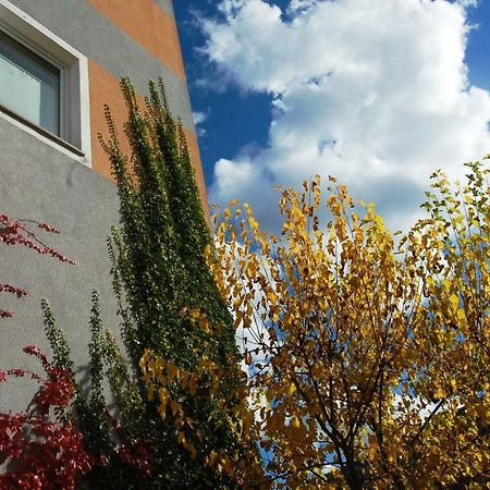 Hisa Posebne Sorte Kodreti Екстериор снимка